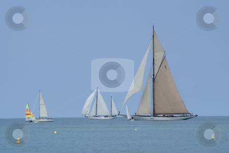 To use this stock image in your creative project, please select the size you need over to the right and click the "Add to Cart" button.
Your downloaded image will come with the Cutcaster watermark removed so don’t worry about the watermark you see on this page. Regatta in Antibes stock photo, Sailing boats during a regatta (