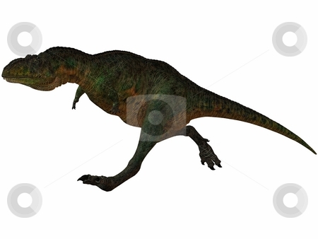To use this stock image in your creative project, please select the size you need over to the right and click the "Add to Cart" button.
Your downloaded image will come with the Cutcaster watermark removed so don’t worry about the watermark you see on this page. Aucasaurus-3D Dinosaur stock photo, 3D Render of an Aucasaurus-3D Dinosaur by Andreas Meyer