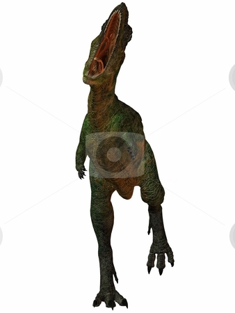 To use this stock image in your creative project, please select the size you need over to the right and click the "Add to Cart" button.
Your downloaded image will come with the Cutcaster watermark removed so don’t worry about the watermark you see on this page. Aucasaurus-3D Dinosaur stock photo, 3D Render of an Aucasaurus-3D Dinosaur by Andreas Meyer