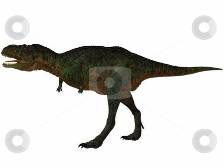 To use this stock image in your creative project, please select the size you need over to the right and click the "Add to Cart" button.
Your downloaded image will come with the Cutcaster watermark removed so don’t worry about the watermark you see on this page. Aucasaurus-3D Dinosaur stock photo, 3D Render of an Aucasaurus-3D Dinosaur by Andreas Meyer
