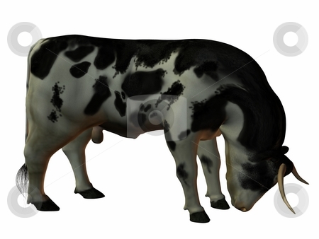 To use this stock image in your creative project, please select the size you need over to the right and click the "Add to Cart" button.
Your downloaded image will come with the Cutcaster watermark removed so don’t worry about the watermark you see on this page. Bull stock photo, 3D Render of an Bull by Andreas Meyer