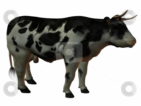 To use this stock image in your creative project, please select the size you need over to the right and click the "Add to Cart" button.
Your downloaded image will come with the Cutcaster watermark removed so don’t worry about the watermark you see on this page. Bull stock photo, 3D Render of an Bull by Andreas Meyer