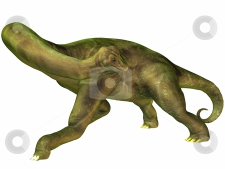 To use this stock image in your creative project, please select the size you need over to the right and click the "Add to Cart" button.
Your downloaded image will come with the Cutcaster watermark removed so don’t worry about the watermark you see on this page. Brachiosaurus-3D Dinosaur stock photo, 3D Render of an Brachiosaurus-3D Dinosaur by Andreas Meyer
