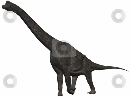 To use this stock image in your creative project, please select the size you need over to the right and click the "Add to Cart" button.
Your downloaded image will come with the Cutcaster watermark removed so don’t worry about the watermark you see on this page. Brachiosaurus-3D Dinosaur stock photo, 3D Render of an Brachiosaurus-3D Dinosaur by Andreas Meyer