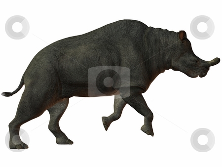 To use this stock image in your creative project, please select the size you need over to the right and click the "Add to Cart" button.
Your downloaded image will come with the Cutcaster watermark removed so don’t worry about the watermark you see on this page. Brontotherium stock photo, 3D Render of an Brontotherium by Andreas Meyer