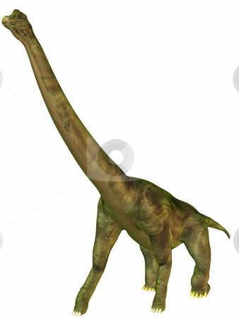 To use this stock image in your creative project, please select the size you need over to the right and click the "Add to Cart" button.
Your downloaded image will come with the Cutcaster watermark removed so don’t worry about the watermark you see on this page. Brachiosaurus-3D Dinosaur stock photo, 3D Render of an Brachiosaurus-3D Dinosaur by Andreas Meyer