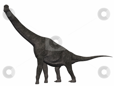 To use this stock image in your creative project, please select the size you need over to the right and click the "Add to Cart" button.
Your downloaded image will come with the Cutcaster watermark removed so don’t worry about the watermark you see on this page. Brachiosaurus-3D Dinosaur stock photo, 3D Render of an Brachiosaurus-3D Dinosaur by Andreas Meyer