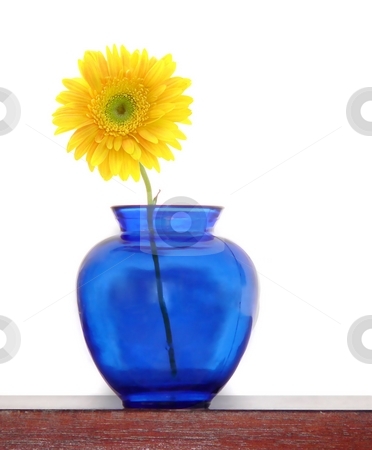To use this stock image in your creative project, please select the size you need over to the right and click the "Add to Cart" button.
Your downloaded image will come with the Cutcaster watermark removed so don’t worry about the watermark you see on this page. Floral stock photo, by Perry Correll
