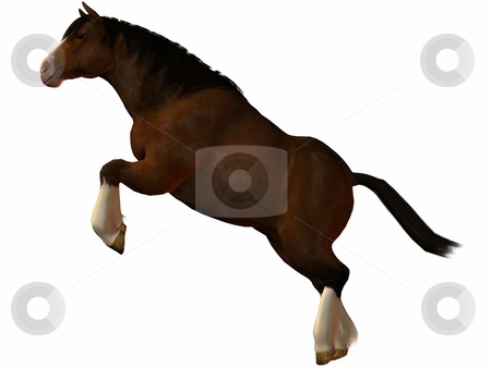To use this stock image in your creative project, please select the size you need over to the right and click the "Add to Cart" button.
Your downloaded image will come with the Cutcaster watermark removed so don’t worry about the watermark you see on this page. Charger Horse stock photo, 3D Render of an Charger Horse by Andreas Meyer