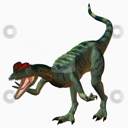 To use this stock image in your creative project, please select the size you need over to the right and click the "Add to Cart" button.
Your downloaded image will come with the Cutcaster watermark removed so don’t worry about the watermark you see on this page. Dilophosaurus-3D Dinosaur stock photo, 3D Render of an Dilophosaurus-3D Dinosaur by Andreas Meyer