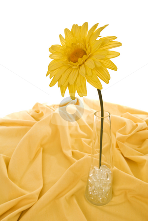 To use this stock image in your creative project, please select the size you need over to the right and click the "Add to Cart" button.
Your downloaded image will come with the Cutcaster watermark removed so don’t worry about the watermark you see on this page. Sunflower stock photo, Cloth sunflower in glass vase with pebbles on yellow tablecloth, isolated on white. by Nicolaas Traut