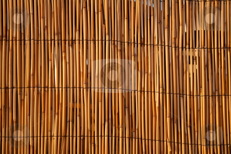 To use this stock image in your creative project, please select the size you need over to the right and click the "Add to Cart" button.
Your downloaded image will come with the Cutcaster watermark removed so don’t worry about the watermark you see on this page. Close up of a bamboo fence, lit by warm evening sunlight. stock photo, Close up of a bamboo fence, lit by warm evening sunlight. by Stephen Rees