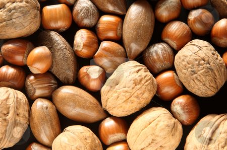 To use this stock image in your creative project, please select the size you need over to the right and click the "Add to Cart" button.
Your downloaded image will come with the Cutcaster watermark removed so don’t worry about the watermark you see on this page. Mixed nuts close up. stock photo, Mixed nuts close up. by Stephen Rees