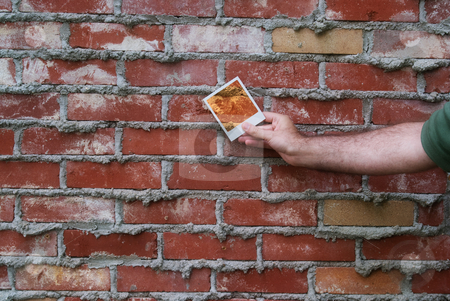 To use this stock image in your creative project, please select the size you need over to the right and click the "Add to Cart" button.
Your downloaded image will come with the Cutcaster watermark removed so don’t worry about the watermark you see on this page. Brick Wall stock photo, Somebody holding a polaroid picture of a brick wall by Richard Nelson