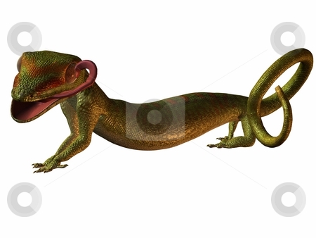 To use this stock image in your creative project, please select the size you need over to the right and click the "Add to Cart" button.
Your downloaded image will come with the Cutcaster watermark removed so don’t worry about the watermark you see on this page. Gecko stock photo, 3D Render of an Gecko by Andreas Meyer