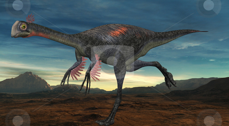 To use this stock image in your creative project, please select the size you need over to the right and click the "Add to Cart" button.
Your downloaded image will come with the Cutcaster watermark removed so don’t worry about the watermark you see on this page. Gigantoraptor erlianensis-3D Dinosaur stock photo, 3D Render of an Gigantoraptor erlianensis-3D Dinosaur by Andreas Meyer