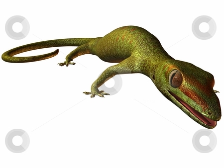 To use this stock image in your creative project, please select the size you need over to the right and click the "Add to Cart" button.
Your downloaded image will come with the Cutcaster watermark removed so don’t worry about the watermark you see on this page. Gecko stock photo, 3D Render of an Gecko by Andreas Meyer