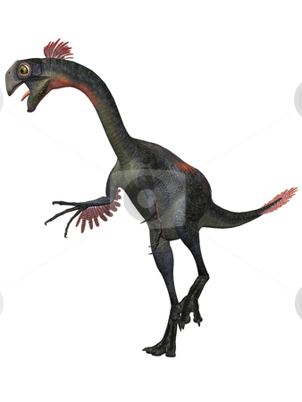 To use this stock image in your creative project, please select the size you need over to the right and click the "Add to Cart" button.
Your downloaded image will come with the Cutcaster watermark removed so don’t worry about the watermark you see on this page. Gigantoraptor erlianensis-3D Dinosaur stock photo, 3D Render of an Gigantoraptor erlianensis-3D Dinosaur by Andreas Meyer