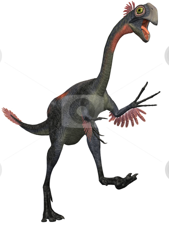 To use this stock image in your creative project, please select the size you need over to the right and click the "Add to Cart" button.
Your downloaded image will come with the Cutcaster watermark removed so don’t worry about the watermark you see on this page. Gigantoraptor erlianensis-3D Dinosaur stock photo, 3D Render of an Gigantoraptor erlianensis-3D Dinosaur by Andreas Meyer