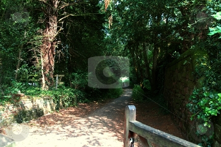 To use this stock image in your creative project, please select the size you need over to the right and click the "Add to Cart" button.
Your downloaded image will come with the Cutcaster watermark removed so don’t worry about the watermark you see on this page. Endless Pathway stock photo, Path leading to River Dee, Eccleston, Cheshire by Ray Roscoe