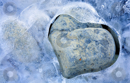 To use this stock image in your creative project, please select the size you need over to the right and click the "Add to Cart" button.
Your downloaded image will come with the Cutcaster watermark removed so don’t worry about the watermark you see on this page. Cold Heart stock photo, Ice along the Tieton River wrapping a small stone in th heart shaped embrace of Winter by Mike Dawson