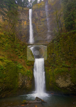 To use this stock image in your creative project, please select the size you need over to the right and click the "Add to Cart" button.
Your downloaded image will come with the Cutcaster watermark removed so don’t worry about the watermark you see on this page. Multanomah stock photo, Multanomah Falls in the Columbia River Gorge of Oregon. by Mike Dawson