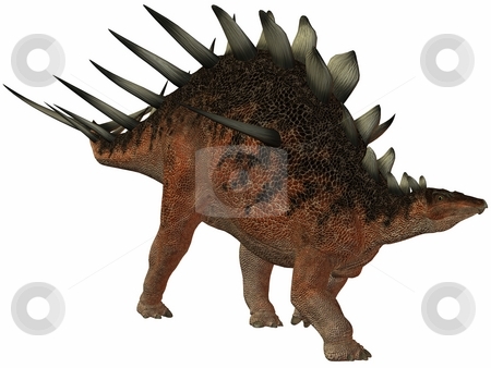To use this stock image in your creative project, please select the size you need over to the right and click the "Add to Cart" button.
Your downloaded image will come with the Cutcaster watermark removed so don’t worry about the watermark you see on this page. Kentrosaurus-3D Dinosaur stock photo, 3D Render of an Kentrosaurus-3D Dinosaur by Andreas Meyer