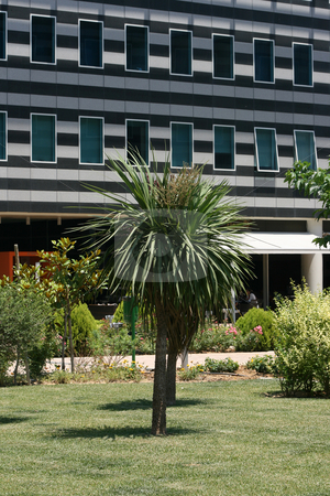 To use this stock image in your creative project, please select the size you need over to the right and click the "Add to Cart" button.
Your downloaded image will come with the Cutcaster watermark removed so don’t worry about the watermark you see on this page. Garden and building stock photo, Garden alea in modern commercial buildings block by EVANGELOS THOMAIDIS