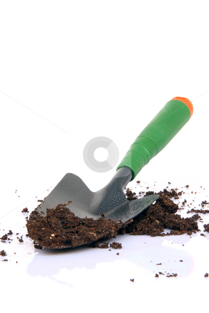 To use this stock image in your creative project, please select the size you need over to the right and click the "Add to Cart" button.
Your downloaded image will come with the Cutcaster watermark removed so don’t worry about the watermark you see on this page. Shovel and soil stock photo, Garden tools shovel and soil on white background by EVANGELOS THOMAIDIS