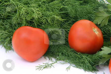 To use this stock image in your creative project, please select the size you need over to the right and click the "Add to Cart" button.
Your downloaded image will come with the Cutcaster watermark removed so don’t worry about the watermark you see on this page. Two tomatos stock photo, Two tomatos with dill and parsley background food and vegetables by EVANGELOS THOMAIDIS