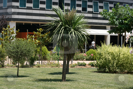 To use this stock image in your creative project, please select the size you need over to the right and click the "Add to Cart" button.
Your downloaded image will come with the Cutcaster watermark removed so don’t worry about the watermark you see on this page. Garden and plants stock photo, Garden alea in modern commercial buildings block by EVANGELOS THOMAIDIS