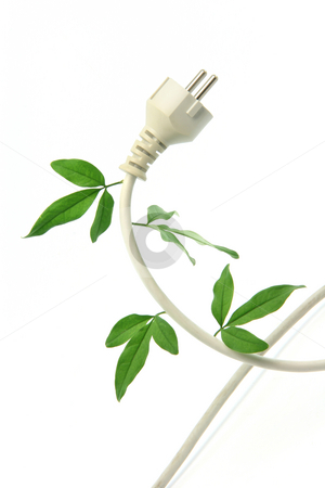 To use this stock image in your creative project, please select the size you need over to the right and click the "Add to Cart" button.
Your downloaded image will come with the Cutcaster watermark removed so don’t worry about the watermark you see on this page. Ecology and energy stock photo, Green energy ecological concepts power plug and cable with green leaves isolated by EVANGELOS THOMAIDIS