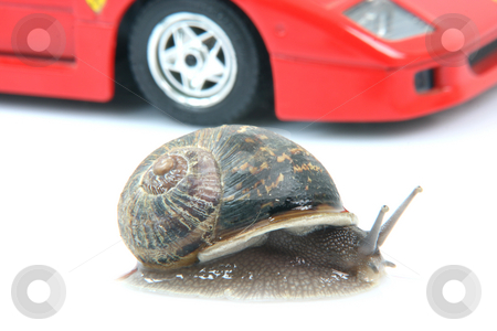 To use this stock image in your creative project, please select the size you need over to the right and click the "Add to Cart" button.
Your downloaded image will come with the Cutcaster watermark removed so don’t worry about the watermark you see on this page. Snail and car stock photo, Comon garden snail and sports car background isolated humor concepts by EVANGELOS THOMAIDIS