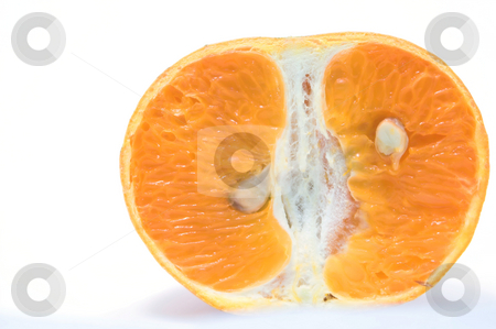 To use this stock image in your creative project, please select the size you need over to the right and click the "Add to Cart" button.
Your downloaded image will come with the Cutcaster watermark removed so don’t worry about the watermark you see on this page. Orange Slice stock photo, A sliced orange ready to be eaten. by Robert Byron