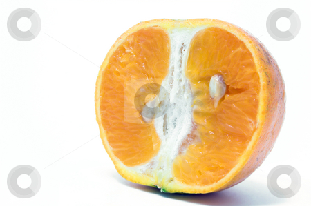 To use this stock image in your creative project, please select the size you need over to the right and click the "Add to Cart" button.
Your downloaded image will come with the Cutcaster watermark removed so don’t worry about the watermark you see on this page. Orange Slice stock photo, A sliced orange ready to be eaten. by Robert Byron