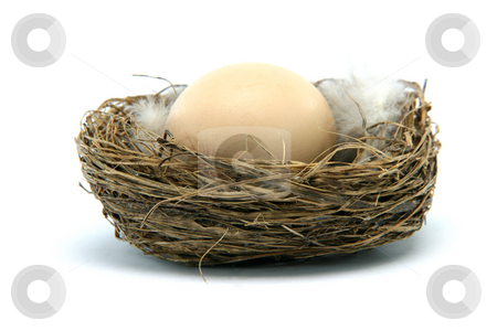 To use this stock image in your creative project, please select the size you need over to the right and click the "Add to Cart" button.
Your downloaded image will come with the Cutcaster watermark removed so don’t worry about the watermark you see on this page. Brown egg in nest stock photo, Brown egg in a nest isolated on white background by EVANGELOS THOMAIDIS