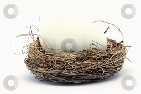To use this stock image in your creative project, please select the size you need over to the right and click the "Add to Cart" button.
Your downloaded image will come with the Cutcaster watermark removed so don’t worry about the watermark you see on this page. Big egg small nest stock photo, Big white egg in a small nest isolated on white background by EVANGELOS THOMAIDIS