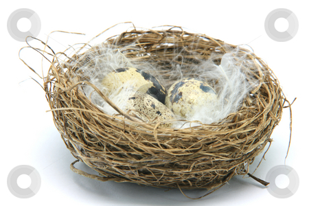 To use this stock image in your creative project, please select the size you need over to the right and click the "Add to Cart" button.
Your downloaded image will come with the Cutcaster watermark removed so don’t worry about the watermark you see on this page. Three small eggs in nest stock photo, Three small eggs in a nest with feathers isolated on white background by EVANGELOS THOMAIDIS