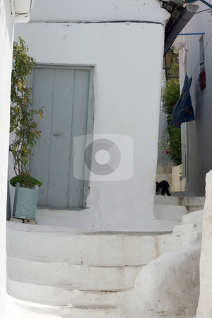 To use this stock image in your creative project, please select the size you need over to the right and click the "Add to Cart" button.
Your downloaded image will come with the Cutcaster watermark removed so don’t worry about the watermark you see on this page. Traditional greek houses stock photo, Traditional white old style greek houses with flowerpots in spring by EVANGELOS THOMAIDIS