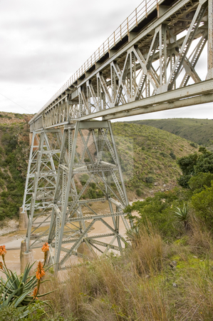 To use this stock image in your creative project, please select the size you need over to the right and click the "Add to Cart" button.
Your downloaded image will come with the Cutcaster watermark removed so don’t worry about the watermark you see on this page. Train bridge over river stock photo, A train bridge over the Gouritz river in South Africa. This bridge is adjacent to the bungee jumping bridge. by Nicolaas Traut