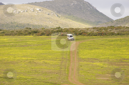 To use this stock image in your creative project, please select the size you need over to the right and click the "Add to Cart" button.
Your downloaded image will come with the Cutcaster watermark removed so don’t worry about the watermark you see on this page. Safari vehicle stock photo, A safari vehicle driving on a track in a wildlife reserve. by Nicolaas Traut