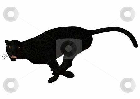To use this stock image in your creative project, please select the size you need over to the right and click the "Add to Cart" button.
Your downloaded image will come with the Cutcaster watermark removed so don’t worry about the watermark you see on this page. Leopard stock photo, 3D Render of an Leopard by Andreas Meyer