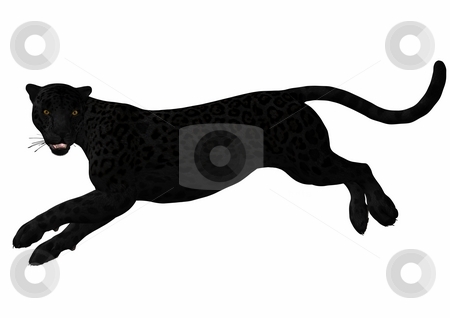 To use this stock image in your creative project, please select the size you need over to the right and click the "Add to Cart" button.
Your downloaded image will come with the Cutcaster watermark removed so don’t worry about the watermark you see on this page. Leopard stock photo, 3D Render of an Leopard by Andreas Meyer