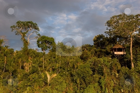 To use this stock image in your creative project, please select the size you need over to the right and click the "Add to Cart" button.
Your downloaded image will come with the Cutcaster watermark removed so don’t worry about the watermark you see on this page. Lake Sandoval stock photo, Lake Sandoval is located Tambopata-Candamo which is a nature reserve in the Peruvian Amazon Basin south of the Madre de Dios River by Mariusz Jurgielewicz