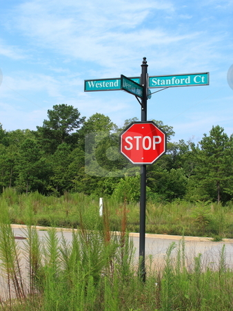 To use this stock image in your creative project, please select the size you need over to the right and click the "Add to Cart" button.
Your downloaded image will come with the Cutcaster watermark removed so don’t worry about the watermark you see on this page. Real Estate stock photo, Construction halted due to economy by Jack Schiffer