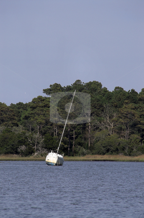 To use this stock image in your creative project, please select the size you need over to the right and click the "Add to Cart" button.
Your downloaded image will come with the Cutcaster watermark removed so don’t worry about the watermark you see on this page. Sailboat stock photo, A sailboat moored in a body of water. by Robert Byron