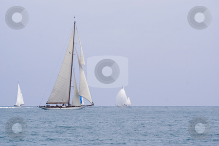 To use this stock image in your creative project, please select the size you need over to the right and click the "Add to Cart" button.
Your downloaded image will come with the Cutcaster watermark removed so don’t worry about the watermark you see on this page. Sailing boat stock photo, Ancient sailing boat in Mediterranean sea. by Serge VILLA