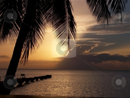 To use this stock image in your creative project, please select the size you need over to the right and click the "Add to Cart" button.
Your downloaded image will come with the Cutcaster watermark removed so don’t worry about the watermark you see on this page. THE CARRIBEAN SUNSET stock photo, by Robyn Marian