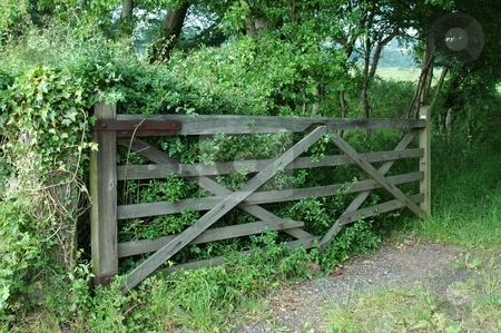 To use this stock image in your creative project, please select the size you need over to the right and click the "Add to Cart" button.
Your downloaded image will come with the Cutcaster watermark removed so don’t worry about the watermark you see on this page. Old Rustic Gate stock photo, Gate farm fields wood by Ray Roscoe