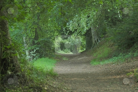 To use this stock image in your creative project, please select the size you need over to the right and click the "Add to Cart" button.
Your downloaded image will come with the Cutcaster watermark removed so don’t worry about the watermark you see on this page. Pathway stock photo, Eccleston Ferry river walk, River Dee by Ray Roscoe